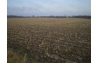 Property photo 4 - 71 Acres Offered in 2 Tracts